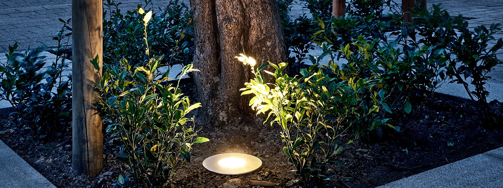 Moderne achtertuin met sfeervolle tuinverlichting in de avond